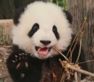李四
